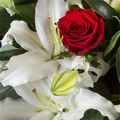 SPECIAL OFFER Romantic Day Special 
