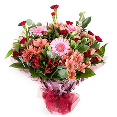 Rosa pink