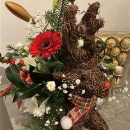 Xmas reindeer &amp; Chocs special 